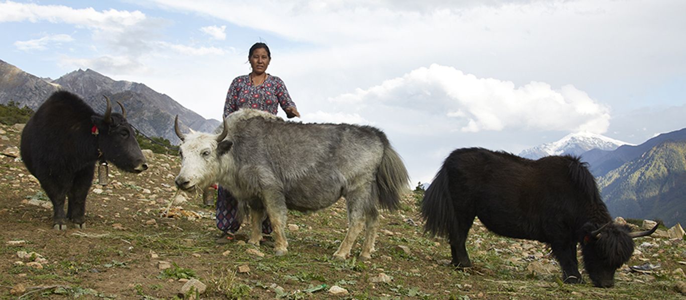 Nepal_fotografTobyMaudsley.jpg