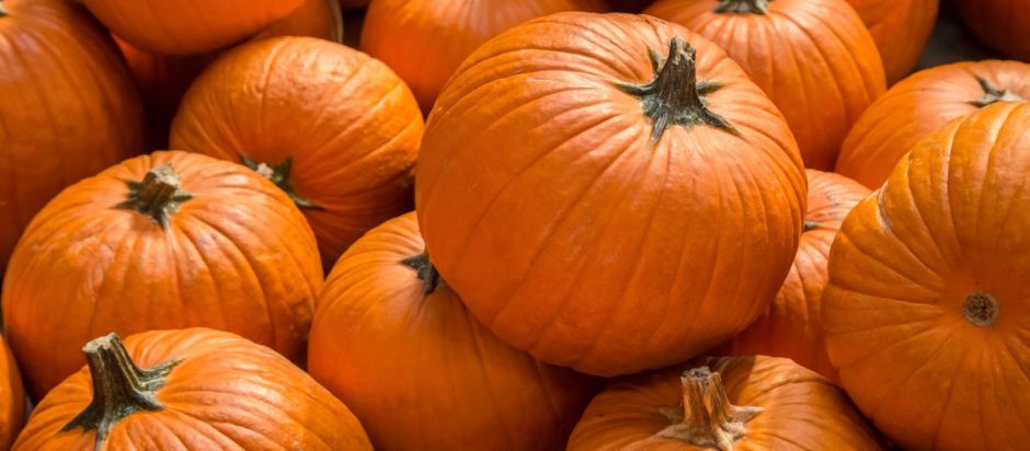 Pyhäinpäivä nyhet.jpg